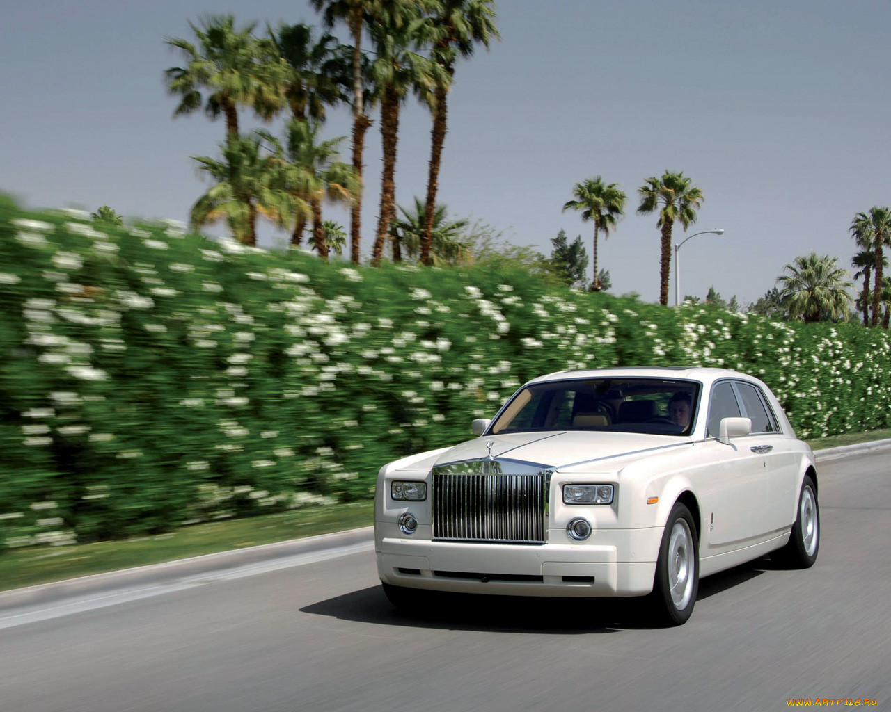 , rolls, royce